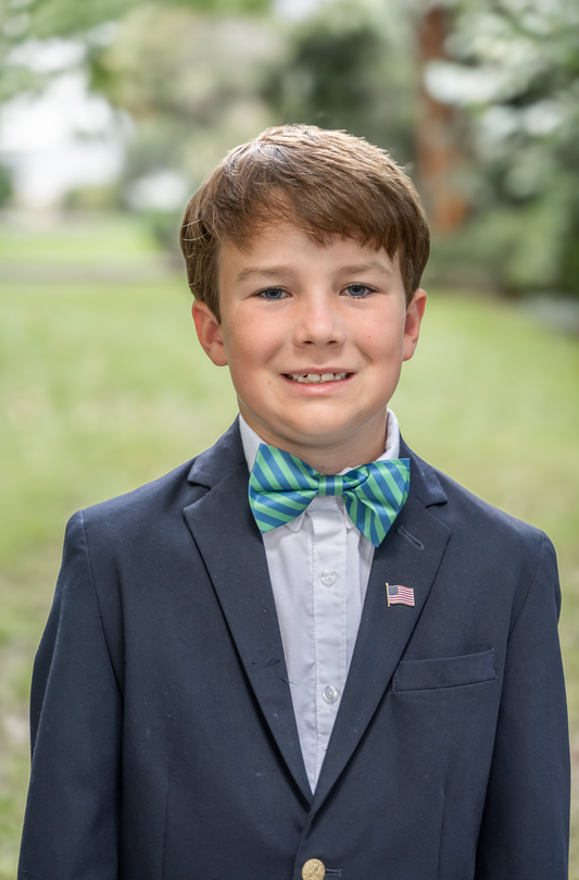 Highland Stripe Blue Green Pre-tied Bowtie