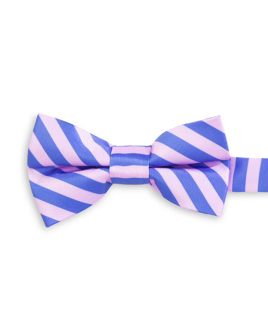 Daybreak Pink Blue Stripe Pre-tied Child Tween Bowtie